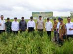 5 Menteri Prabowo Rapat di Wanam Merauke yang Diproyeksikan Jadi Pusat Cadangan Pangan Nasional 
