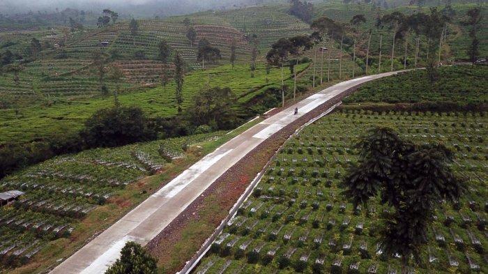 Kebun-Teh-Candiyasan-2025.jpg